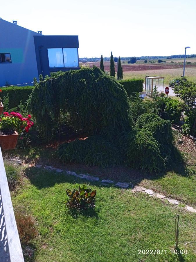 אומאג Apartments Ribic מראה חיצוני תמונה