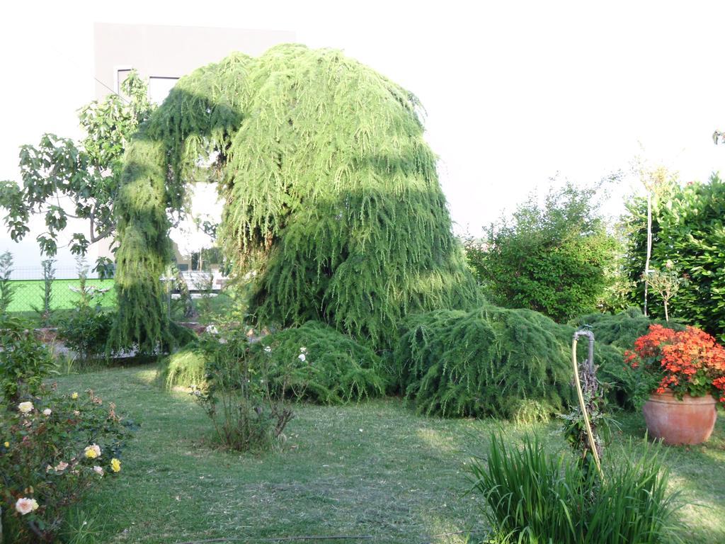 אומאג Apartments Ribic חדר תמונה